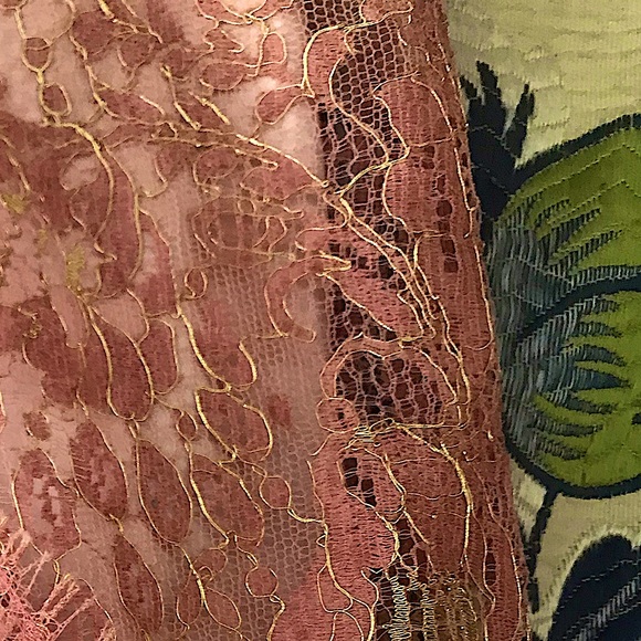 AnnTaylor Rosé Gold Lace Dance Party Champagne Cocktail Dress - Picture 11 of 13